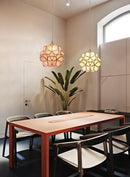 Modern Glass Petal Pendant Ceiling Light
