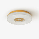 Modern Ayla LED Flush Mount Ceiling Light
