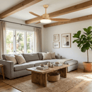 Asymmetric Blade Ceiling Fan Light