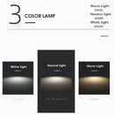 Wood Rim Flush Ceiling Light