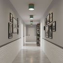 Wood Accent Drum Ceiling Light
