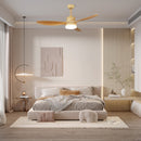 Asymmetric Blade Ceiling Fan Light