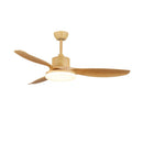 Asymmetric Blade Ceiling Fan Light