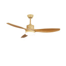 Asymmetric Blade Ceiling Fan Light