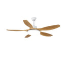 Asymmetric Blade Ceiling Fan Light