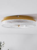 Modern Ayla LED Flush Mount Ceiling Light