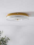 Modern Ayla LED Flush Mount Ceiling Light