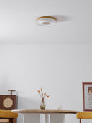 Modern Ayla LED Flush Mount Ceiling Light