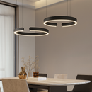 Scandinavian Ring Pendant Light
