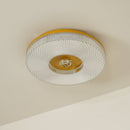 Modern Ayla LED Flush Mount Ceiling Light