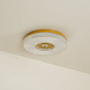 Modern Ayla LED Flush Mount Ceiling Light