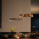 Scandinavian Ring Pendant Light