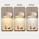 Stone Ring Pendant Light