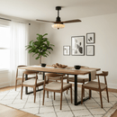 Lotus Ceiling Fan Light