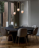 Sleek Modern Pendant Ceiling Lamp