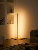 Modern Slim LED Floor Lamp with External Driver