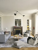Modern Multi-Arm Adjustable Metal Ceiling Light Fixture