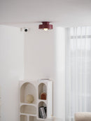 Wentz Ceiling Lamp