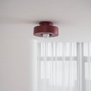 Wentz Ceiling Lamp