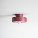 Wentz Ceiling Lamp