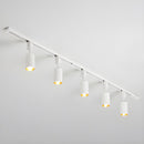 Sleek Cylinder Track Light