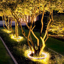 LED Landscape Arc Ring Light