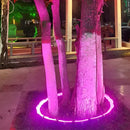 LED Landscape Arc Ring Light