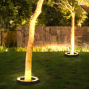 LED Landscape Arc Ring Light