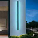 Modern Vertical LED Wall Light