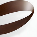 Petal Loop Ceiling Fan Light