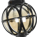 Metal Cage Glass Globe Pendant